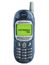 Best available price of Motorola T190 in Libya