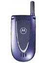 Best available price of Motorola V66i in Libya